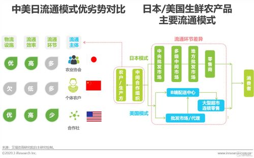 回顾与展望 2020年中国生鲜农产品供应链研究报告解析